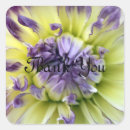 Recherche de dahlia papier autocollants Fleur