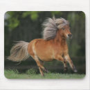 Recherche de cheval miniature tapis souris Fonctionnement