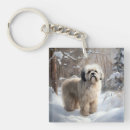 Recherche de apso de lhasa porteclés Noël