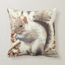 Zoek naar eekhoorns kussens Schattig