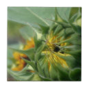 Recherche de tournesols carreaux Pour elle