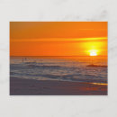 Zoek naar zonsopgang briefkaarten Vogels