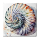 Recherche de nautilus carreaux Océan