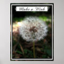 Zoek naar dandelion kunst Wens