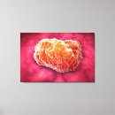 Recherche de de biochimie posters Micro organisme