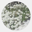 Recherche de couvertures autocollants Blanc