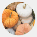 Recherche de gourdes autocollants Automne