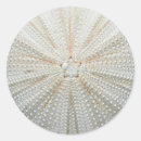 Recherche de oursin autocollants Océan