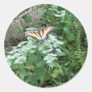 Recherche de écosystème autocollants Plante