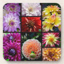 Recherche de parfum dessous de verres Jardin