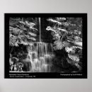 Zoek naar regenwouden posters Foto's