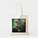 Recherche de splendens de betta Aquarium