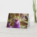 Recherche de macro vœux cartes Orchidée