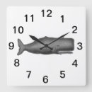 Recherche de mammif horloges Mammifères marins