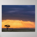 Zoek naar gieren posters Landschap