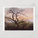 Recherche de oiseau mort cartes postales Oiseaux