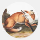 Zoek naar rode vos stickers Wild