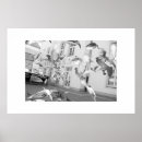 Recherche de pigeons posters Vol
