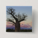 Recherche de baobab accessoires Nature