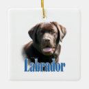 Zoek naar labrador dog ornamenten Retriever