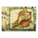 Zoek naar shell briefkaarten Seashell art