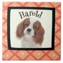 Recherche de cavalier carreaux Chien