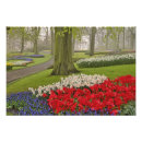 Recherche de floraison posters Néerlandais