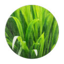 Recherche de herbe verte planches à découper Motif