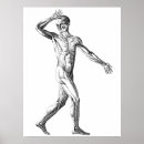 Recherche de anatomique art Muscles