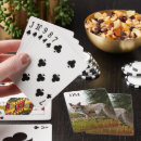Zoek naar vos speelkaarten Natuur
