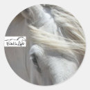Recherche de chevaux trait autocollants Équin
