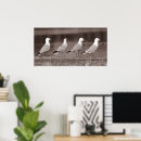 Recherche de oiseau mer posters Drôle