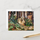 Recherche de lapin vintage cartes postales Botanique