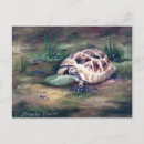 Recherche de peinture tortue cartes postales Vert