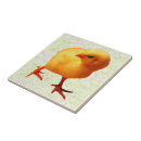 Recherche de poussin carreaux Ferme