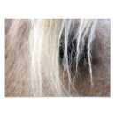 Recherche de quart photographie Quart de cheval