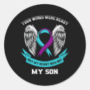Recherche de wings autocollants Sarcelle