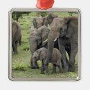 Recherche de éléphant ornements l'afrique