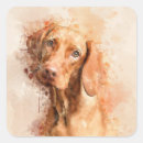 Recherche de magyar autocollants Vizsla