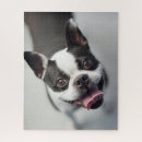 Recherche de chiens de sourire puzzles Images getty