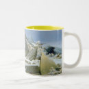 Recherche de banquise tasses Arctique