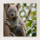 Zoek naar koala puzzels Australië