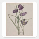 Recherche de ren Fleurs
