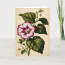 Recherche de parchemin vœux cartes Floral