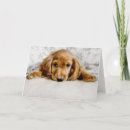 Recherche de cocker spaniel vœux cartes Mignon