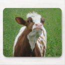 Recherche de vache laitière tapis souris Ferme