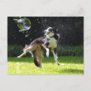 Recherche de bulle de savon cartes postales Animal