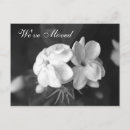 Zoek naar jasmijn uitnodigingen Bloemen