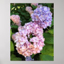 Zoek naar brandkranen posters Natuur