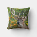 Recherche de buck coussins Nature